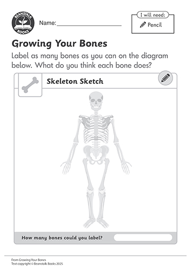 300452E02_LP-BM-SS copy