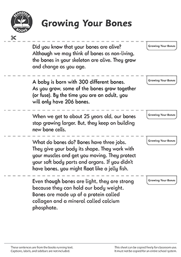 300452E02_LP-BM-SS copy
