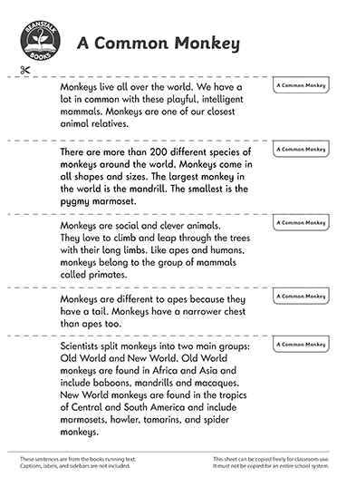 300459E02_LP-BM-SS copy