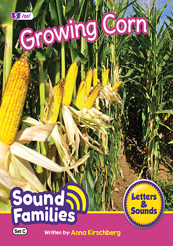 Growing Corn