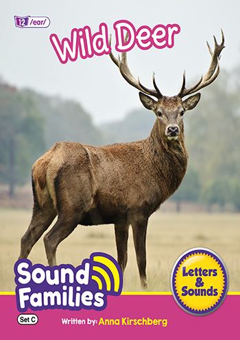 Wild Deer