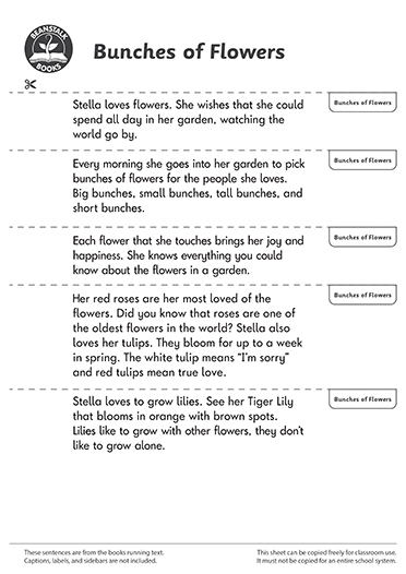 300482E02_LP-BM-SS-2025 copy