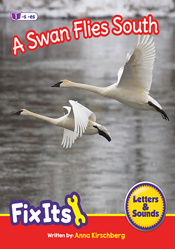 A Swan Flies South