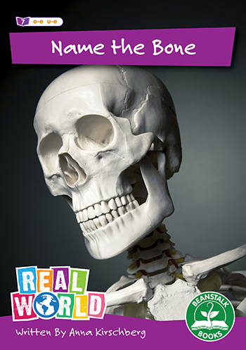 Name the Bone